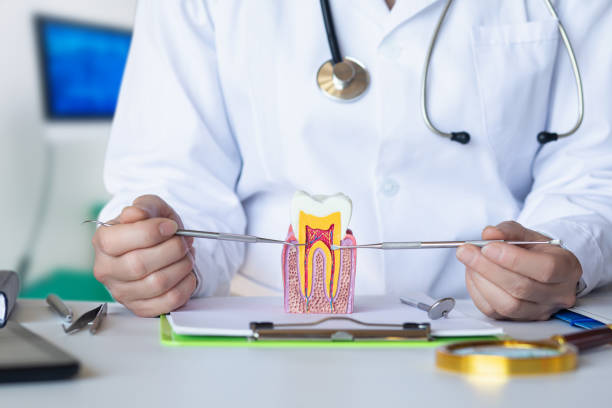 Best Walk-In Emergency Dental Services in Rpinteria, CA